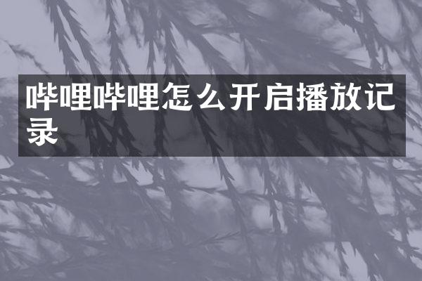 哔哩哔哩怎么开启播放记录