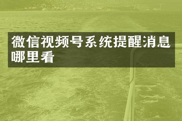 微信视频号系统提醒消息哪里看