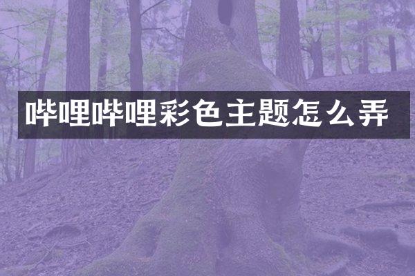 哔哩哔哩彩色主题怎么弄