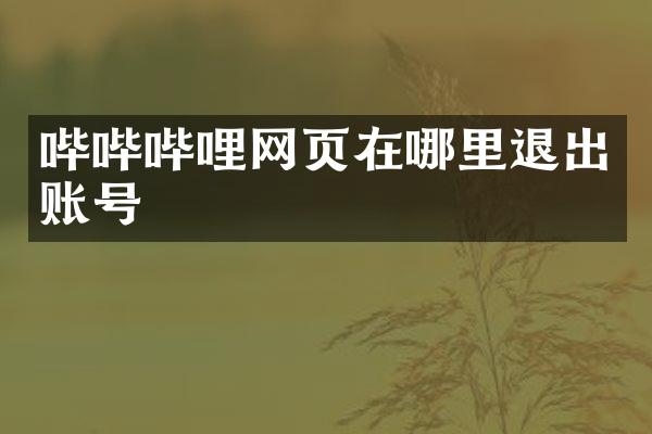 哔哔哔哩网页在哪里退出账号