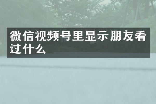 微信视频号里显示朋友看过什么