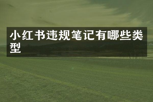 小红书违规笔记有哪些类型
