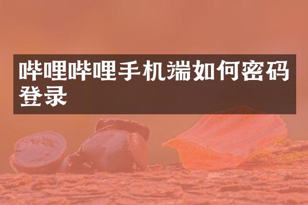 哔哩哔哩手机端如何密码登录