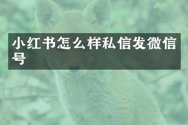 小红书怎么样私信发微信号