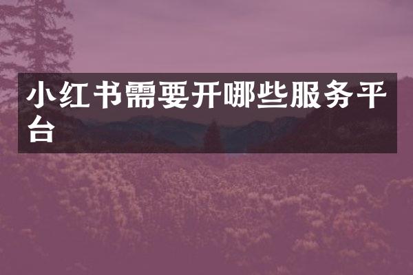 小红书需要开哪些服务平台