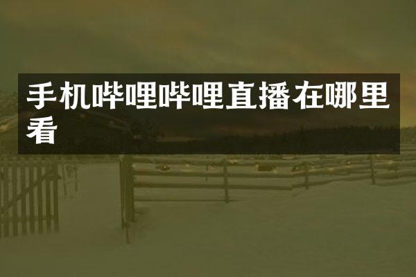 手机哔哩哔哩直播在哪里看