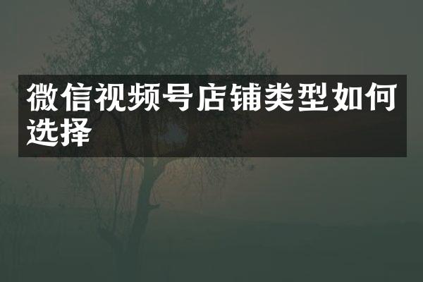 微信视频号店铺类型如何选择