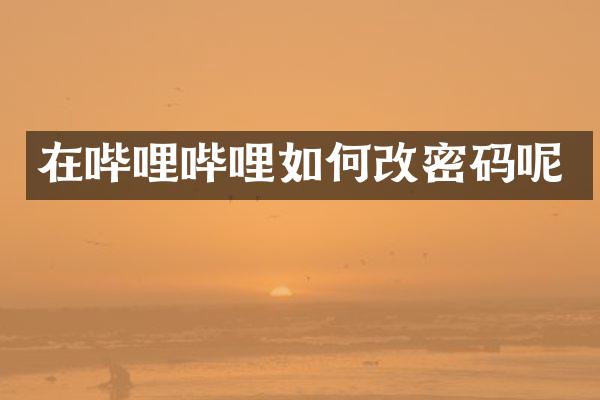 在哔哩哔哩如何改密码呢