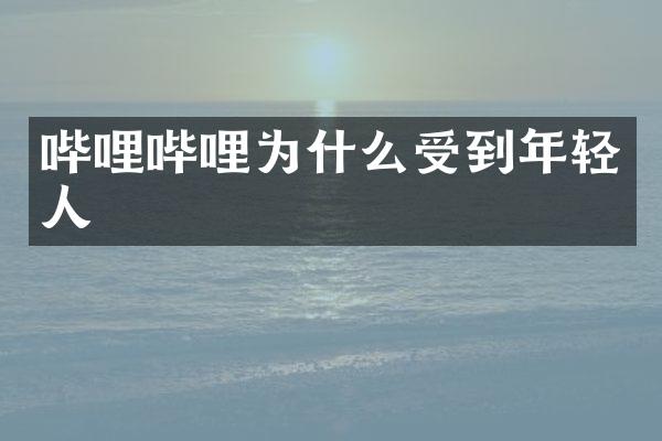 哔哩哔哩为什么受到年轻人
