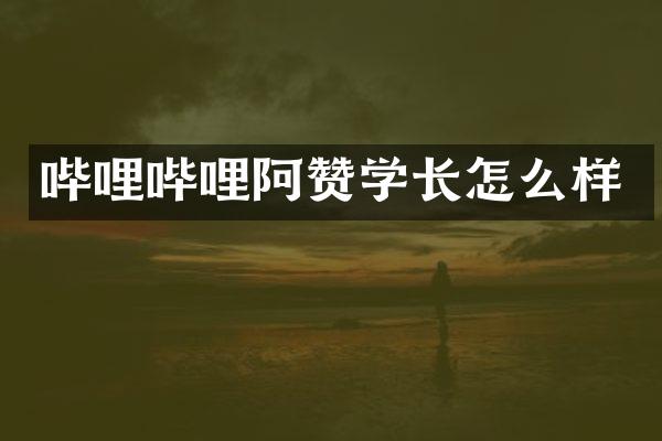 哔哩哔哩阿赞学长怎么样