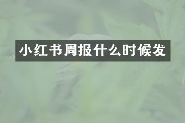小红书周报什么时候发
