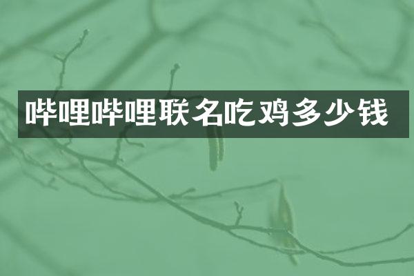 哔哩哔哩联名吃鸡多少钱