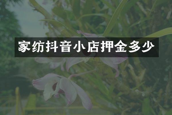 家纺抖音小店押金多少