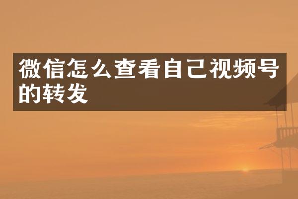 微信怎么查看自己视频号的转发