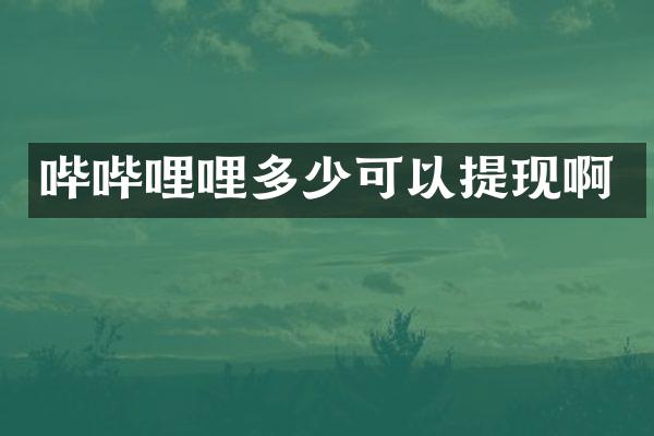 哔哔哩哩多少可以提现啊