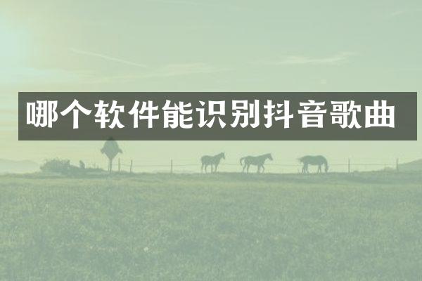哪个软件能识别抖音歌曲