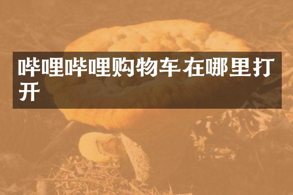 哔哩哔哩购物车在哪里打开