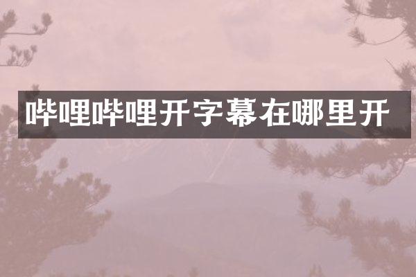 哔哩哔哩开字幕在哪里开