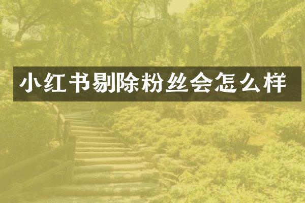 小红书剔除粉丝会怎么样