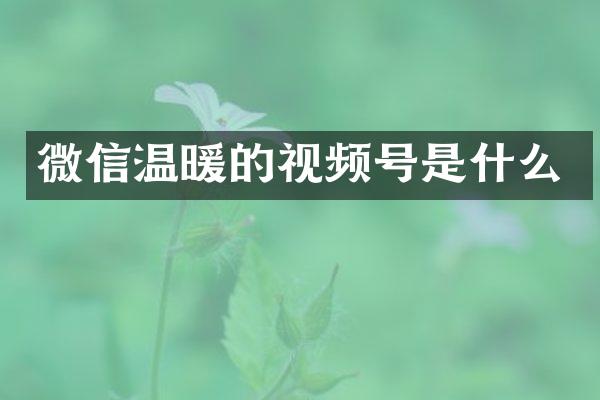 微信温暖的视频号是什么
