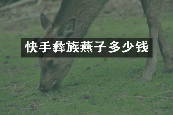 快手彝族燕子多少钱