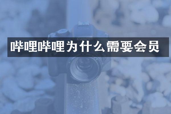 哔哩哔哩为什么需要会员