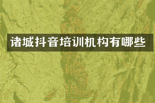 诸城抖音培训机构有哪些