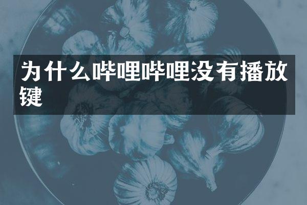 为什么哔哩哔哩没有播放键