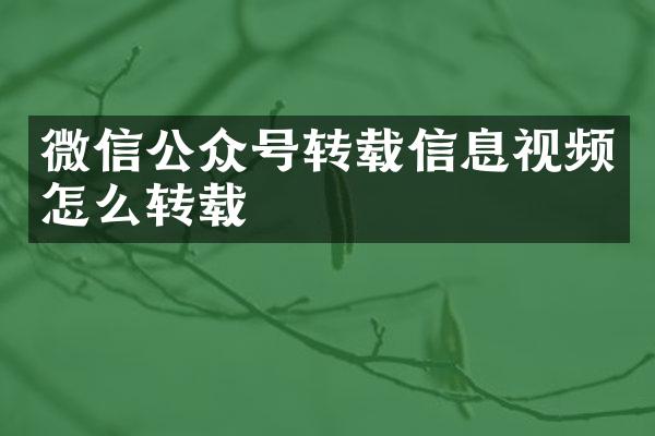 微信公众号转载信息视频怎么转载