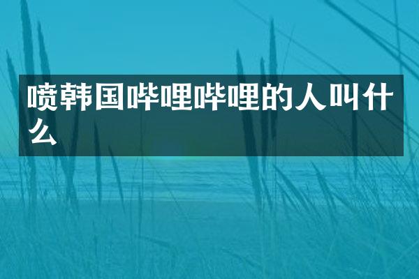 喷韩国哔哩哔哩的人叫什么