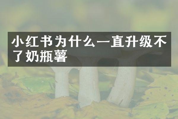 小红书为什么一直升级不了奶瓶薯