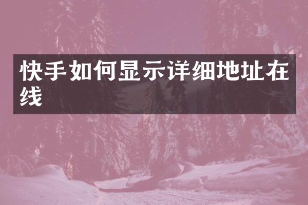 快手如何显示详细地址在线