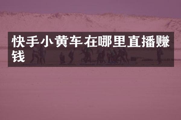 快手小黄车在哪里直播赚钱