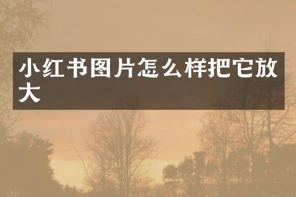 小红书图片怎么样把它放大