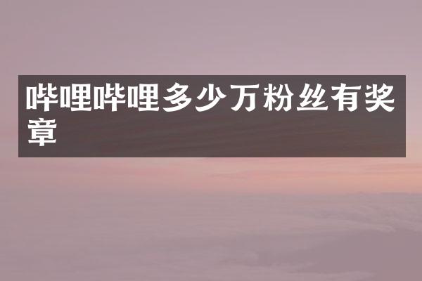 哔哩哔哩多少万粉丝有奖章