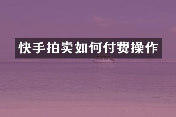 快手拍卖如何付费操作