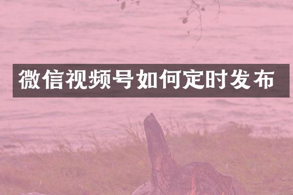 微信视频号如何定时发布