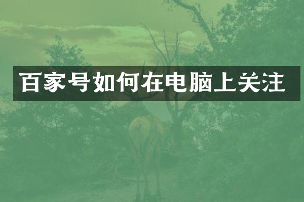 百家号如何在电脑上关注