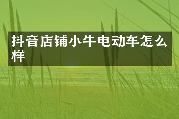 抖音店铺小牛电动车怎么样