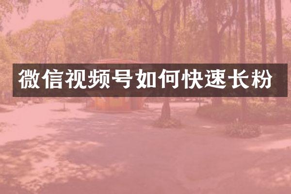 微信视频号如何快速长粉