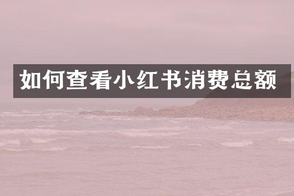 如何查看小红书消费总额