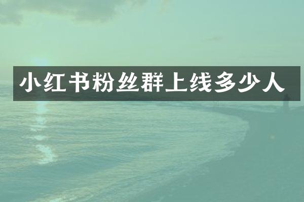 小红书粉丝群上线多少人