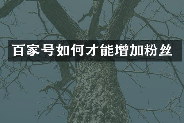 百家号如何才能增加粉丝