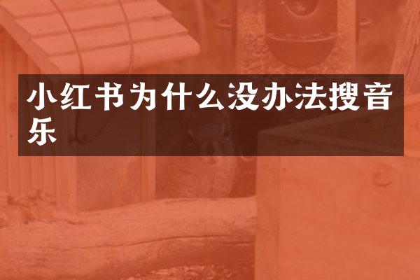 小红书为什么没办法搜音乐