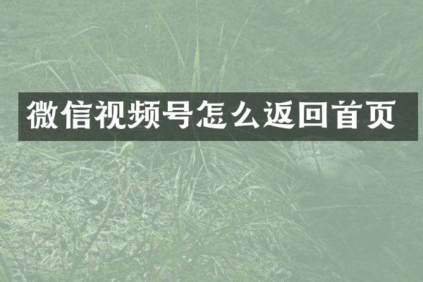 微信视频号怎么返回首页
