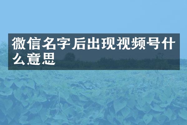 微信名字后出现视频号什么意思