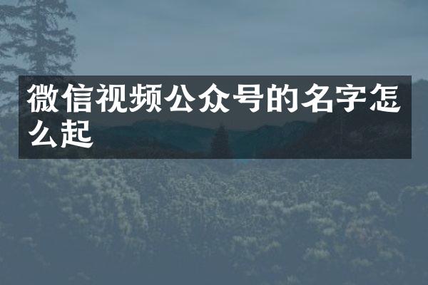 微信视频公众号的名字怎么起