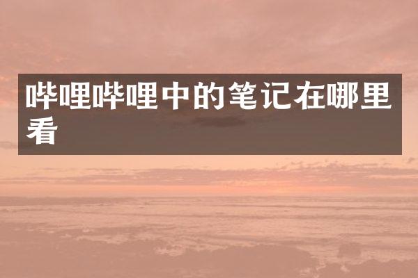 哔哩哔哩中的笔记在哪里看