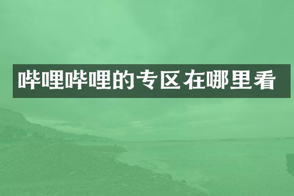 哔哩哔哩的专区在哪里看