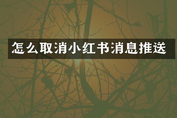怎么取消小红书消息推送